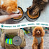 PetAmi Collapsible Dog Food Water Bowls - 2 Travel Bowls Kit, Portable No Spill, Foldable Lightweight BPA Free Leakproof