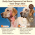Dog Sun Protection Spray Lightweight, Oil-Based UV Shield for Sensitive Skin | Soothing & Moisturizing Formula