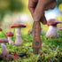 Mushroom Knife with Brush and Foraging Bag Kit, Folding Gardening Knife for Pruning and Harvesting