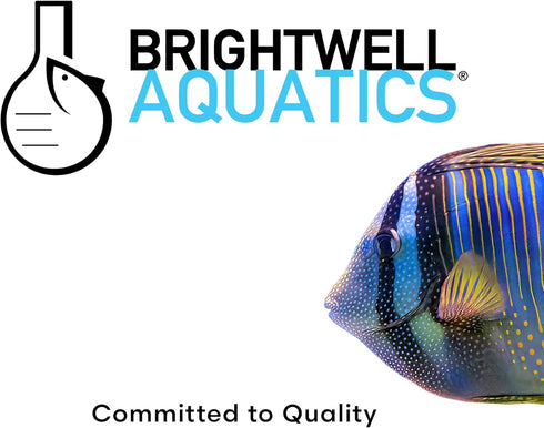 500g Brightwell Aquatics Reef Code B-P Alkalinity Buffer for Reef Aquariums Supports pH Stability Coral Growth Balanced