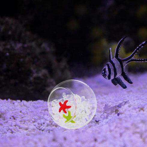 50g Cabilock Betta Fish Hiding Hideaway Aquarium Decor with Shelter, Sea Star and Rhinestones, Tropical Fish Tank