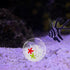 50g Cabilock Betta Fish Hiding Hideaway Aquarium Decor with Shelter, Sea Star and Rhinestones, Tropical Fish Tank