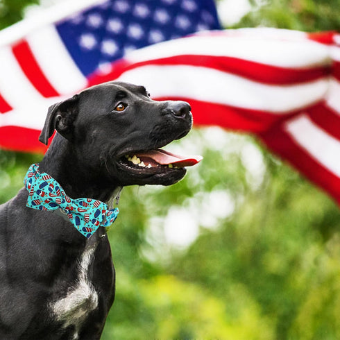 Elegant little tail Independence Day Dog Collar, Holiday Pet Collar with Bow, Durable Adjustable for X-Large Dogs