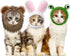 Xuniea 3 Pieces Cat Hat Costume, Adjustable Pet Headwear with Rabbit Ears for Kitten Halloween Party Photo Prop