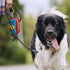 Dog Poop Bag Holder for Leash, Zippered Canvas Poop Bag Dispenser Pouch with Velcro Straps & Metal Carabiner Clip