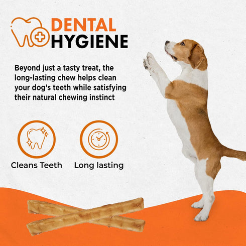 40 Pack 5 Inch Canine Naturals Beef Chew - Rawhide Free Dog Treats - Made with Real Beef - Poultry Free Recipe