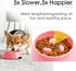 Super Design Slow Feeder Dog Bowl, 1 Cup, Nonslip, Heat-Resistant, Sturdy, Suitable for Small to Medium Sized Dogs