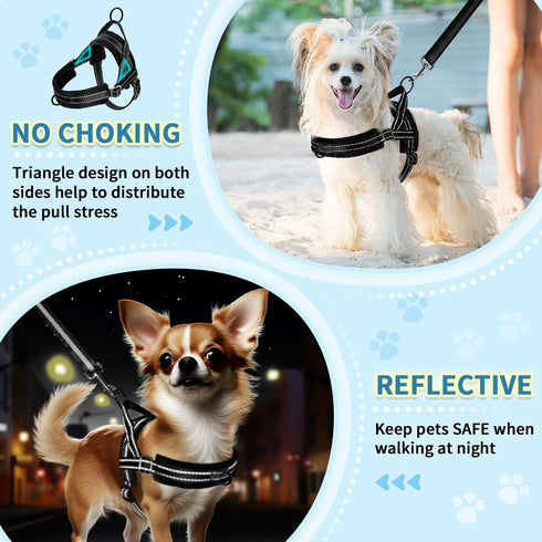 SlowTon No Pull Small Dog Harness and Leash Set, Puppy Soft Vest Harness, Adjustable Reflective Lightweight Harness &