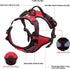 TRUE LOVE TLH5651 Adjustable No-Pull Dog Harness, Reflective Pup Vest Harnesses in Neon Yellow, Size L