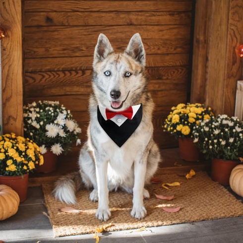 1 Piece Red Formal Dog Tuxedo Bandana with Bow Tie and Neck Tie for Dogs and Cats, L