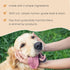 5 oz Beef and Bison Bites for Dogs by Mercola