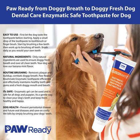 1 Pack 70g (2.5 oz) Paw Ready From Doggy Breath to Doggy Fresh Dog Dental Care Enzymatic Toothpaste for Dogs | Cleans