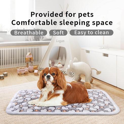 Dog Crate Mats, Soft Reversible Dog Bed Mat, 24x16 Inch, Machine Washable Short Plush Pet Mat for Small Dogs