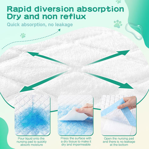 ZTAICOMGO 23inx35in 40 100pcs 6-Layer Diaper Pee Pads for Dogs, Extra Large Disposable Training Pads pc Plus