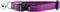RC Pets Primary Collection Breakaway Kitty Collar, Purple