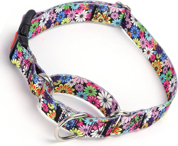 Martingale Dog Collar with Buckle, No Slip Escape Proof Limited Choke Pet Collars for Small Medium Large Dogs (Colorful