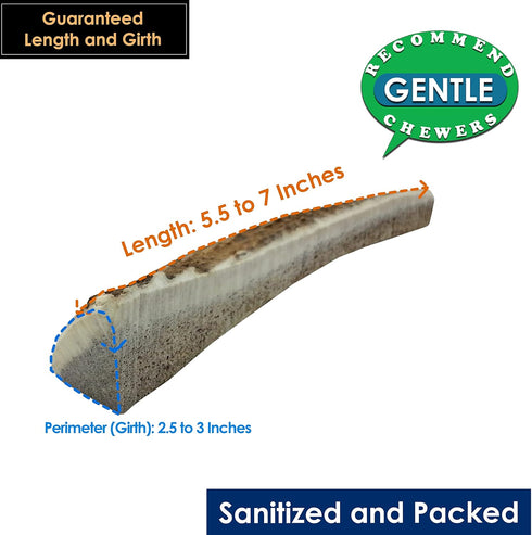 Elk Antler Chews for Dogs, 3-Pack Medium Split, Naturally Shed USA Collected Premium A-Grade