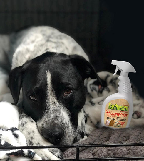 Earthworm Pet Stain Remover & Odor Eliminator - Natural Enzyme Formula, Fragrance Free Spray 22 oz