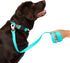 Nandog Pet Gear Waterproof Poly-Flex Sport Dog Leash with Double Latch Technology for Extra Safety & Protection (Aqua