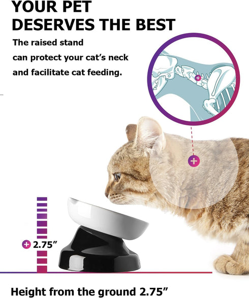 Y YHY Ceramic Cat Slow Feeder, Elevated Tilted Design for Dry and Wet Food, Dog Slow Feeder Bowl