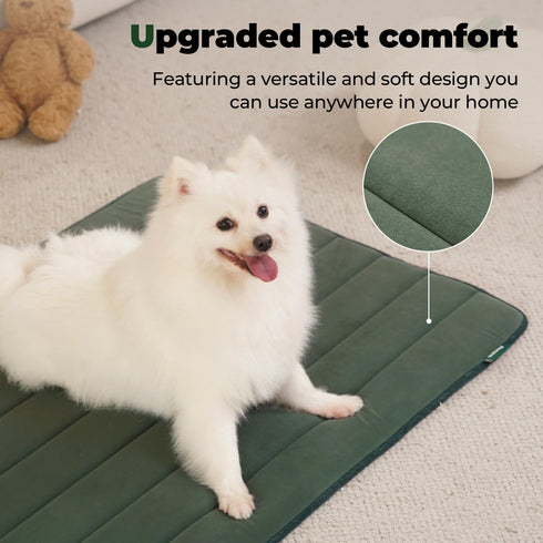 BALANCE Dog Crate Pad, Washable Water-Resistant Foam Mat for X-Large Dogs, Dog Cage Pad