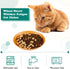 Gerrii 6 Pieces Shallow Cat Food Dish - Lightweight 6 Inch Wheat Straw Bowls for Small Cats