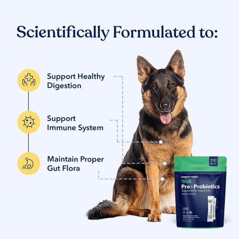 Immune (30 Honest Paws Probiotics for Dogs - Digestive & Support Powder with Prebiotic Made in The USA, Chicken Flavor