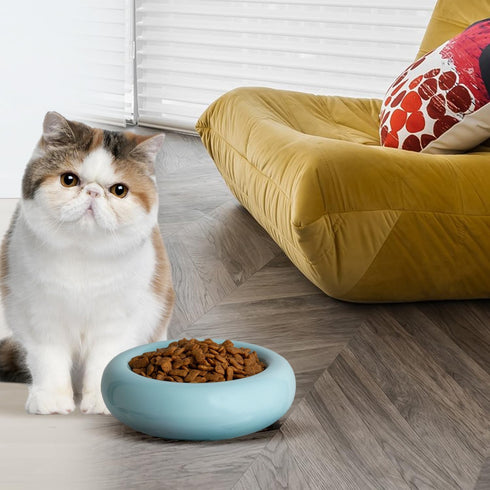 6.1 Inch Cat Bowls - 7 oz Ceramic Food Bowl, Whisker Fatigue Relief, Anti-Vomiting, Perfect for Indoor Cats (Blue)