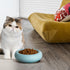 6.1 Inch Cat Bowls - 7 oz Ceramic Food Bowl, Whisker Fatigue Relief, Anti-Vomiting, Perfect for Indoor Cats (Blue)