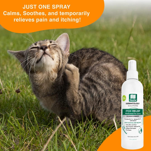 Nootie Medicated Anti-itch Spray, 8 fl oz, Itch Relief & Skin Care for Dogs & Cats, Veterinarian Formulated