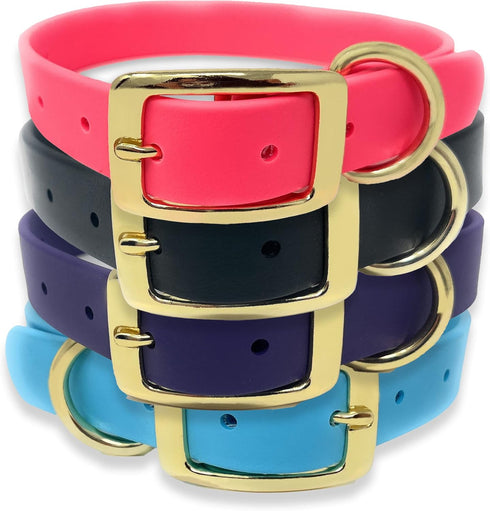 Regal Dog Products Small Light Blue Waterproof Dog Collar with Gold Buckle, Durable and Comfortable Design
