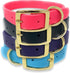 Regal Dog Products Small Light Blue Waterproof Dog Collar with Gold Buckle, Durable and Comfortable Design