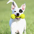 Nerf Dog Rubber Chew Barbell Dog Toy, 7.5 Inches, Lightweight, Durable, Water Resistant for Medium/Large Breeds