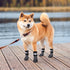 KOOLTAIL Dog Socks Anti Slip with Straps - Waterproof Paw Protector, Size L