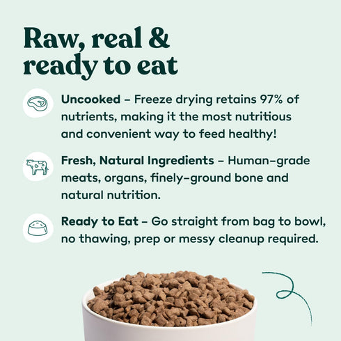Little Hunter Freeze Dried Fresh Dog Food Raw Beef Recipe, High Protein, Small Batch, Grain Free, 15 oz