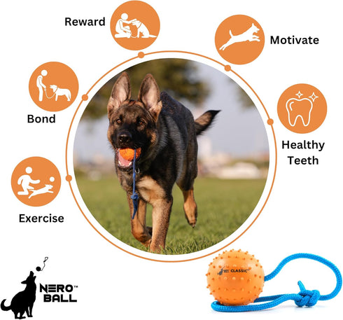 K-9 K-9 The Nero Ball Classic TM - Ball On a Rope Reward and Exercise Toy - Police - Schutzhund