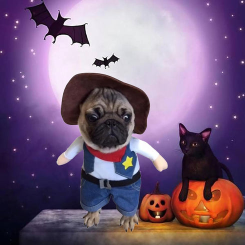 Funny Pet Cat Halloween Costume, Cool West Cowboy Uniform with Hat for Small Dogs & Cats