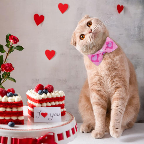 azuza 2 Pack Valentine's Day Cat Collar with Bell, Breakaway Collars with Cute Bowtie, Adjustable from 8"-12" (Cute