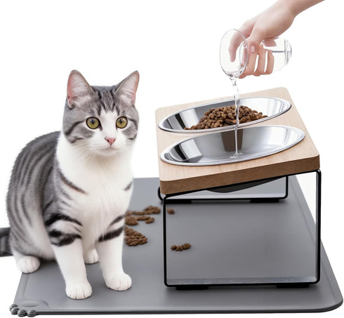 Upgraded Elevated Cat Bowls with Food Mat, 15° Tilted Stand, Anti-Vomiting Raised Dishes, 2 Stainless Steel Bowls