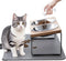 Upgraded Elevated Cat Bowls with Food Mat, 15° Tilted Stand, Anti-Vomiting Raised Dishes, 2 Stainless Steel Bowls