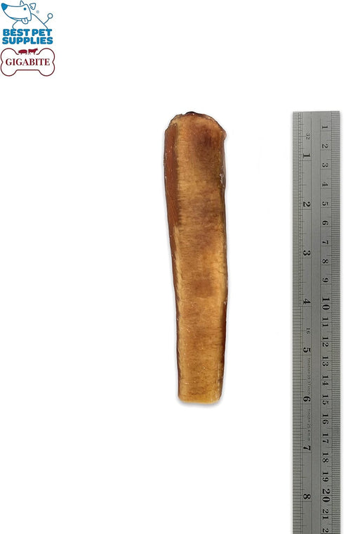 6"), Pack 8 GigaBite Bully Sticks for Dogs All Natural Beef Pizzle Dog Chews, Odor & Rawhide Free Dog Treats, Long