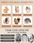 60 Chinchilla Bissap PCS Rabbit Chew Sticks, Sweet Bamboo Timothy Hay Chew Stick Papaya Stems Apple Branch Bunny Chews