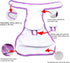 (Pack 4), Teamoy Reusable Female Dog Diapers with Inserts of Doggie Diaper Liners Period Pants for Dogs in Heat