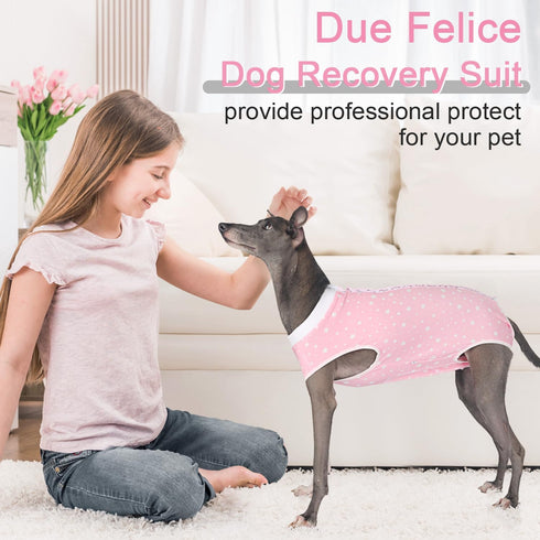 Dog Surgery Suit for Female Spay Recovery, Surgical Recovery Onesie for Small Medium Dogs, Pink Star/Large