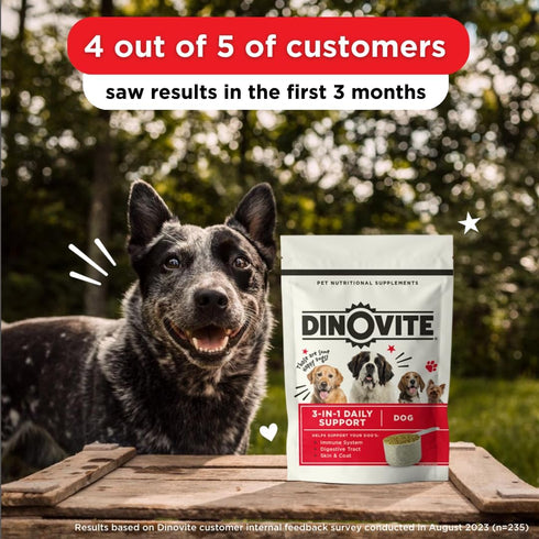 Dinovite Probiotic Supplement for Dogs, Omega 3 for Hot Spot Relief, Skin & Coat Supplement - 30 Day Supply