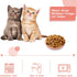 6-Pieces Whisker Fatigue Cat Bowl, 5.5 Inch Shallow Dish for Kittens and Short Legged Cats, Wheat Straw