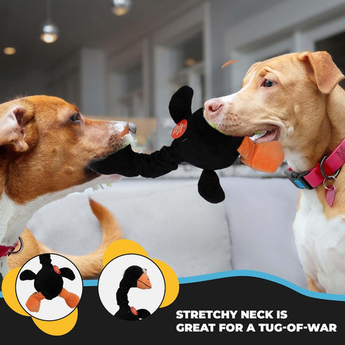 SPOT 14 Chirpies Plush Dog Toy Bird Sound Squeaky Toy for Small and Medium Dogs, Light to Moderate Chewers, Stretchy