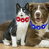 JETTINGBUY 30 Pieces Dog Bow Ties, Adjustable Pet Diamond Flower Collars for Dogs Cats in 10 Colors