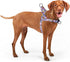 No Pull Dog Harness, Easy Walk for Small, Medium, Large Pets, Floral Pattern Safety Nylon Training Harness (Fireworks,