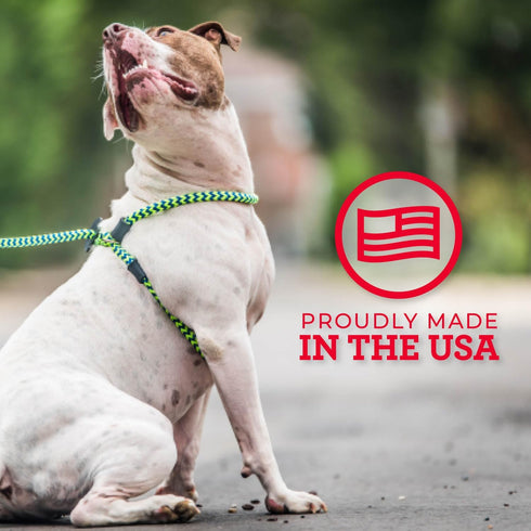 Harness Lead No Pull Dog Harness and Leash Set, Anti Pull Design for All Breeds, One-Piece Cushioned Rope